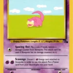 Slowpoke - Common - Fossil - 55/62 - Pokemon Kartı