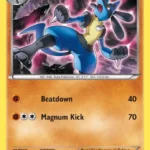 Lucario - Rare - Fates Collide - 047/124 - Pokemon Kartı
