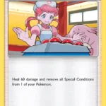 Pokémon Center Lady - Reverse Holo Uncommon - Hidden Fates - 064/68 - Trainer Kartı