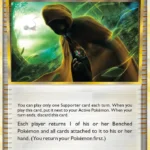 Seeker - Uncommon - Triumphant - 088/102 - Trainer Kartı